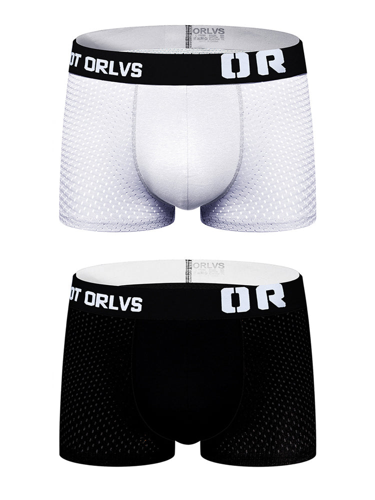 2 Pack Men's Sexy Transparent Seamless Mesh Solid Color Breathable Trunks & Bikini