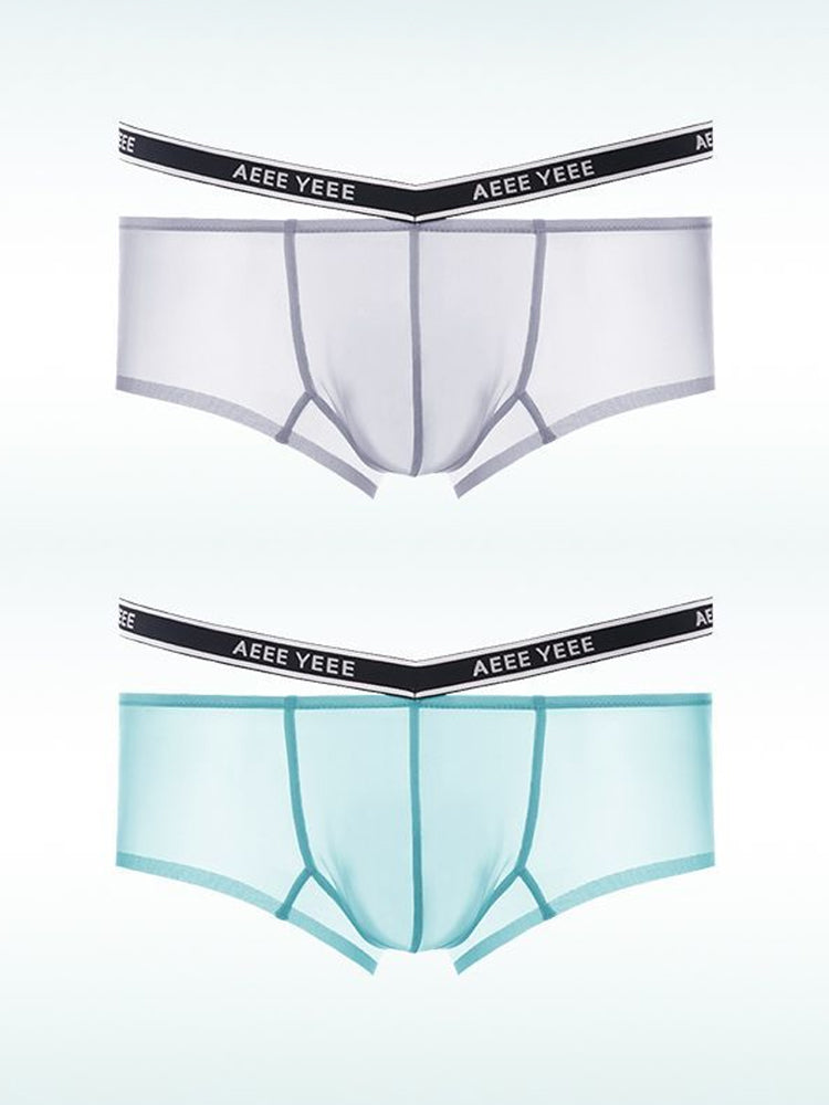Men's Transparent Ice Silk Waistband Separate Briefs