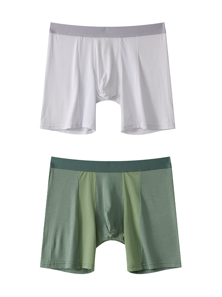 2 Pack Men's Anti-friction Sports Long Nylon Mesh Briefs