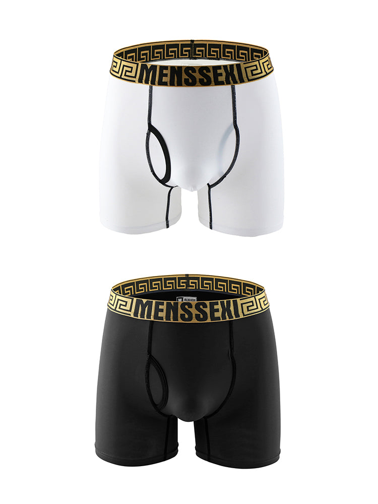 2 Pack Men's Sexy Sports Ice Silk Boxer Briefs