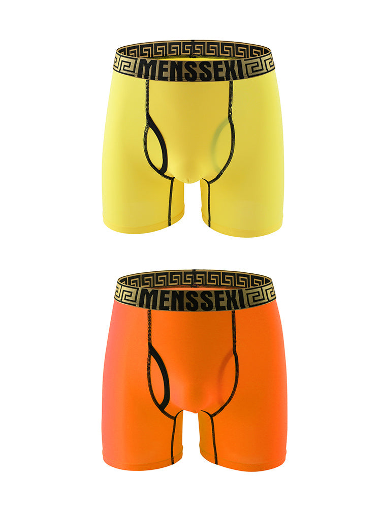 2 Pack Men's Sexy Sports Ice Silk Boxer Briefs