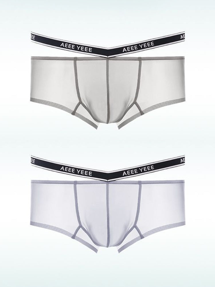 Men's Transparent Ice Silk Waistband Separate Briefs