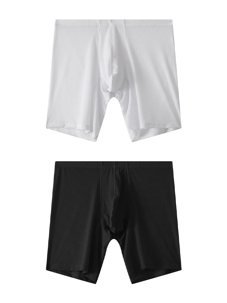 2 Pack Men's Mesh Transparent Sports Fitness Loose Boxer Briefs