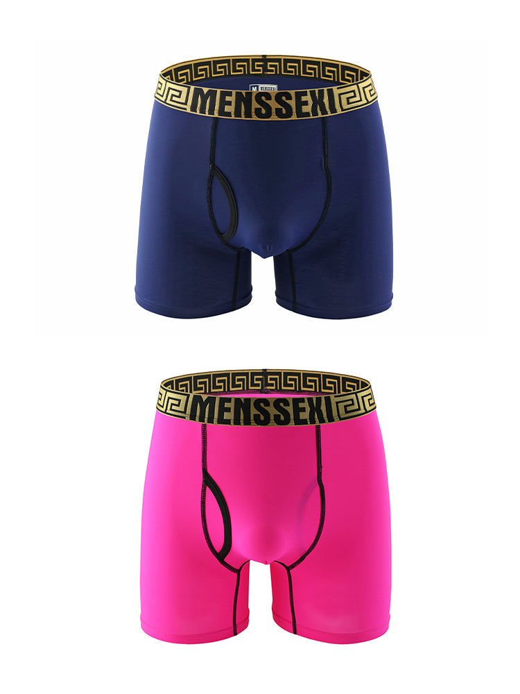 2 Pack Men's Sexy Sports Ice Silk Boxer Briefs