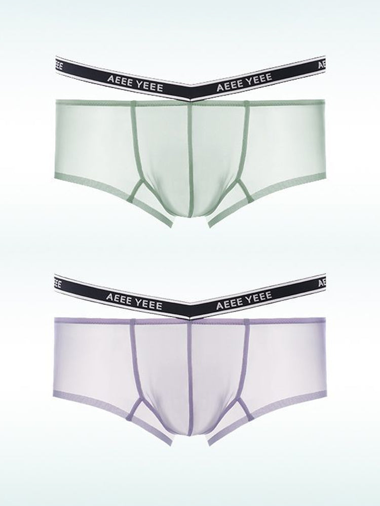 Men's Transparent Ice Silk Waistband Separate Briefs