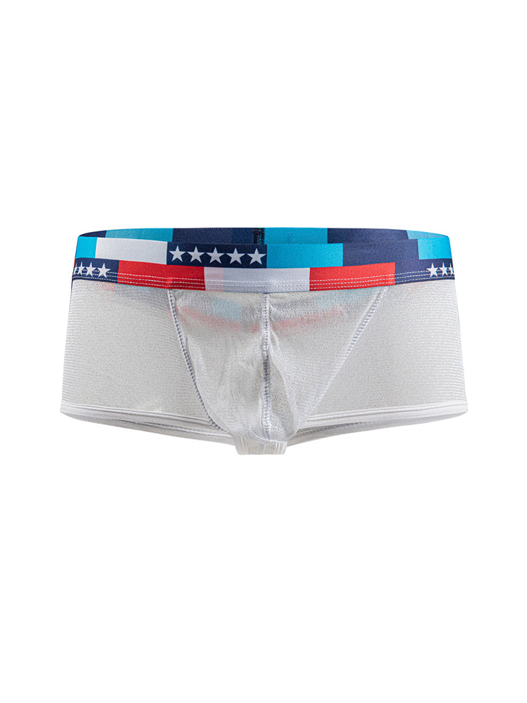 4-pack Men's Low-rise See-through Micro-mesh Pouch Shiny U-convex Wide-edge Boxer Briefs